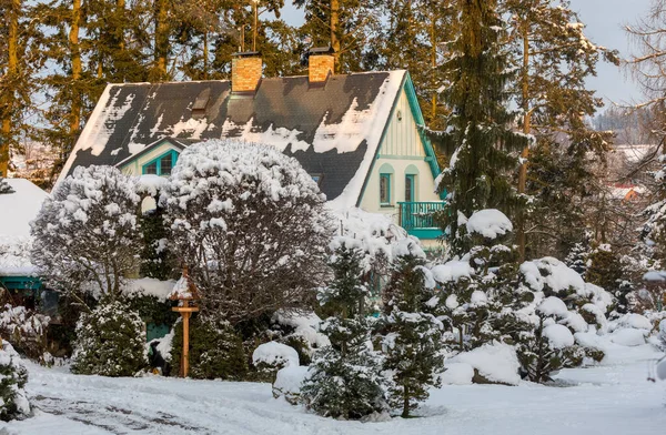 Venkovský Dům Nachází Věčně Zelené Zimní Zahradě Jehličnany Pokryté Čerstvým — Stock fotografie