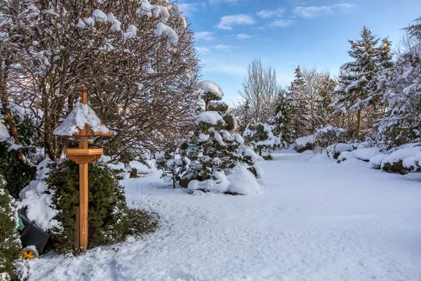 Vacker Vinterträdgård Med Fågelmatare Och Träd Täckta Nysnö — Stockfoto