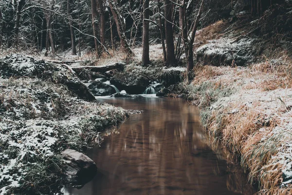 Kaskade Kleinen Gebirgsbach Einem Waldstück Langzeitbelichtungsfoto Mit Wasser Wie Milch — Stockfoto