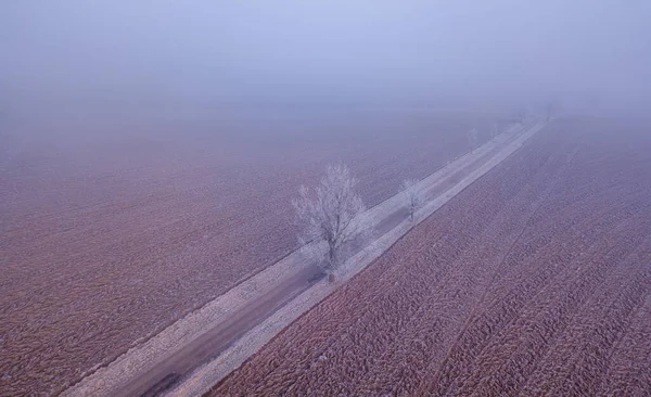 Winter Road Landscape Covered Morning Frost Top Aerial View Landscape — Stock Photo, Image