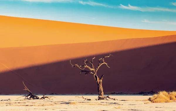 Beautiful Color Palette Shadows Hidden Dead Vlei Landscape Namib Desert — Stock Photo, Image