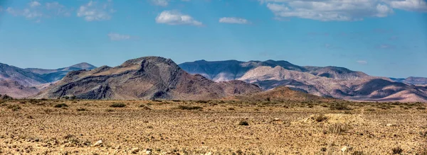 Fantastico Paesaggio Desertico Centrale Namibia Sabbia Con Alberi Paesaggio Tradizionale — Foto Stock