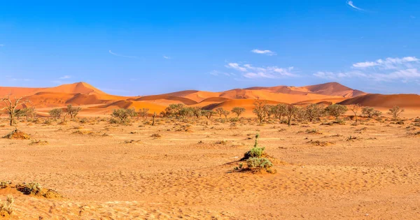 Beautiful Sunrise Landscape Sand Dunes Sesriem Namib Desert Namibia Africa — Stock Photo, Image