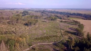 Ormansız hava sahaları, biçilmiş ormanlar.