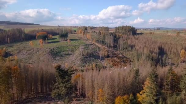 Ontbost landschap vanuit de lucht, geoogste bossen — Stockvideo