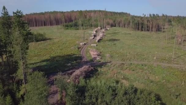 Abgeholzte Landschaft aus der Luft, abgeerntete Wälder — Stockvideo
