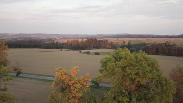 Luchtfoto herfstlandschap met valkleurige bomen — Stockvideo