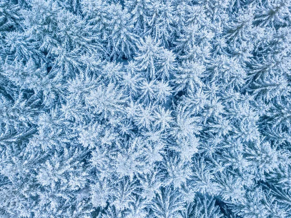 Bovenaanzicht Vanuit Lucht Prachtige Winterbosboomtoppen Spar Ijzige Bomen Bedekt Met — Stockfoto