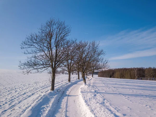 在阳光明媚 霜冻的日子里 乡村道路上的冬季风景 捷克共和国 Vysocina Highland Region Europe — 图库照片