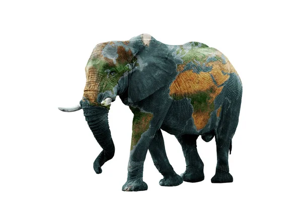 Concepto Tierra Salva Los Animales Del Planeta Imagen Aislada Elefante — Foto de Stock