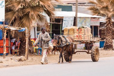Azezo, Amhara Region, Ethiopia - April 22, 2019: Ethiopian man with a horse-drawn carriage on the street. City Azezo, Ethiopia, Africa