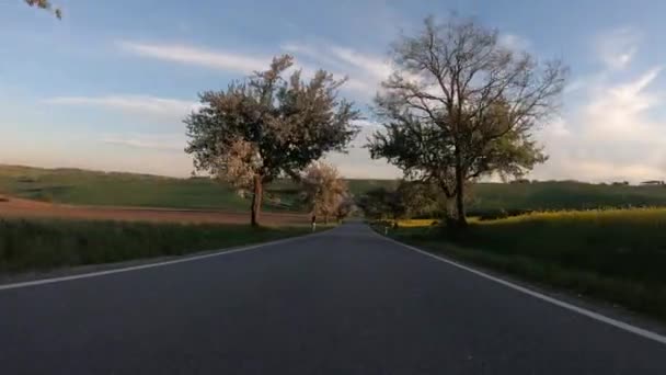 Bilkörning på kvällen vår landsbygd väg på en solig dag. — Stockvideo