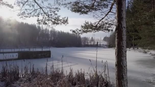 Filmová kamera pohybující se v zimní krajině s rybníkem. — Stock video