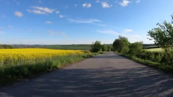 어느 화창 한 날, 저녁때 운전하는 차는 시골 지역 의도 로를 따라 달린다. — 비디오