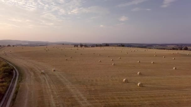 Zicht vanuit de lucht op het geoogste veld met strobalen bij zonsondergang — Stockvideo