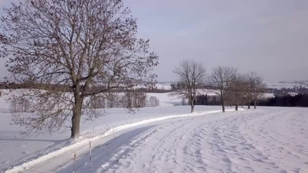 Зимний пейзаж с сельской дорогой — стоковое видео
