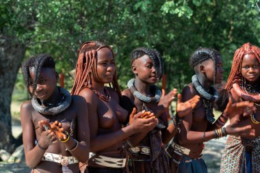 NAMIBIA, OMUSATI REGION, 7 Mayıs: geleneksel saç stili ve kırmızı killi vücutlu genç Himba kadınlarından oluşan bir grup. Himba, Namibya 'nın kuzeyindeki Namibya' nın yerlilerindendir.