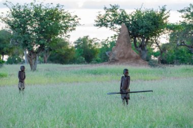 NAMIBIA, OMUSATI REGION, 7 MAYIS: sabahın erken saatlerinde çayırlarda Himba çocukları. Himba, Kuzey Namibya 'da 6 Mayıs 2018' de Namibya Afrika 'da yaşayan Afrikalı yerli halktır.