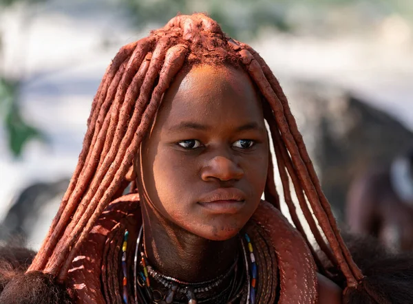 Namibia Omusati Region Maj Porträtt Himba Kvinna Med Traditionell Frisyr — Stockfoto