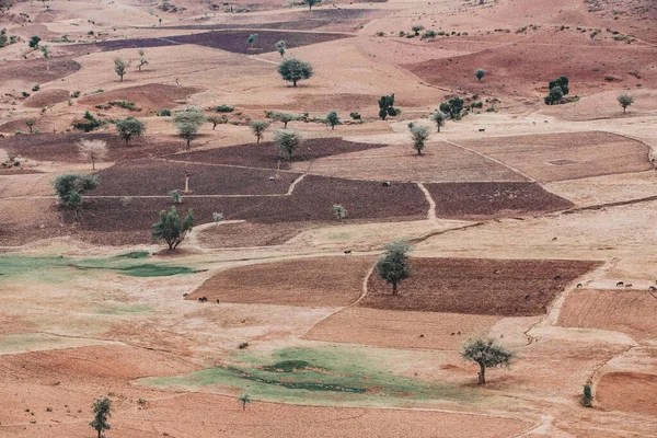 Bela Paisagem Agrícola Com Campos Tradicionais Etiópia Perto Cidade Gondar — Fotografia de Stock