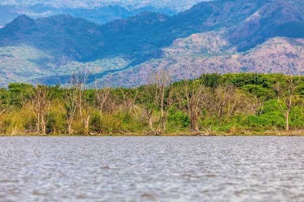 Chamo Lake Natural Biotope Landscape Southern Nations Nationalities Peoples Region — Stock Photo, Image