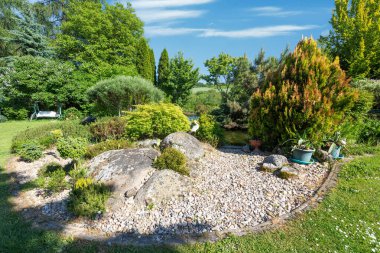 summer garden with conifer trees, green grass and garden pond. Gardening concept.