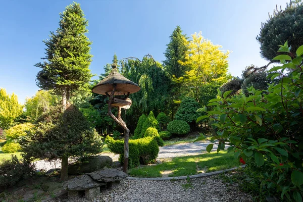 Jardin Été Avec Des Conifères Herbe Verte Panneau Indicateur Jardin — Photo