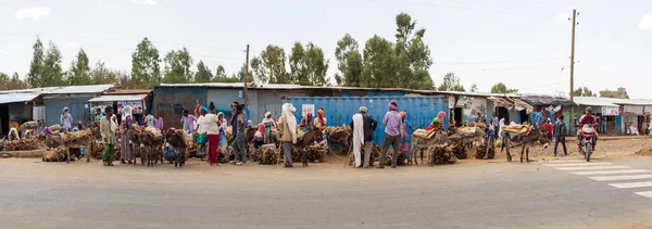 Axum Etiopía Abril 2019 Tigray Nativos Vendiendo Leña Cargada Burros — Foto de Stock