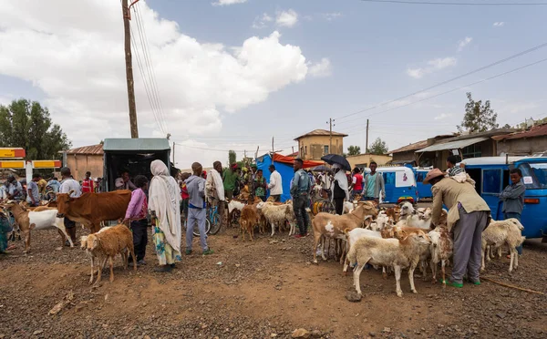 Axum Etiopía Abril 2019 Los Nativos Tigray Venden Animales Mercado —  Fotos de Stock