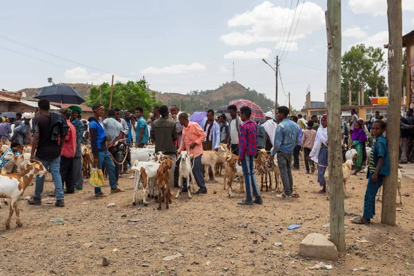 Axum Etiopía Abril 2019 Los Etíopes Venden Animales Mercado Local —  Fotos de Stock