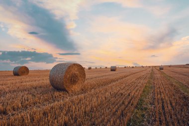 Yaz mevsiminde Vysocina Çek Cumhuriyeti 'nde bir tarlada istiflenmiş saman balyaları üzerinde gün batımı