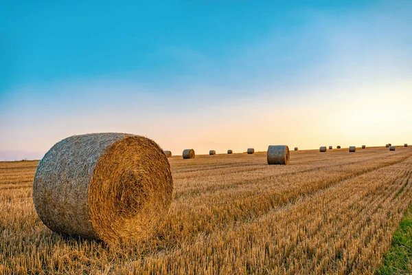 Sunset Straw Bales Stacked Field Summer Time Vysocina Czech Republic — Stock Photo, Image