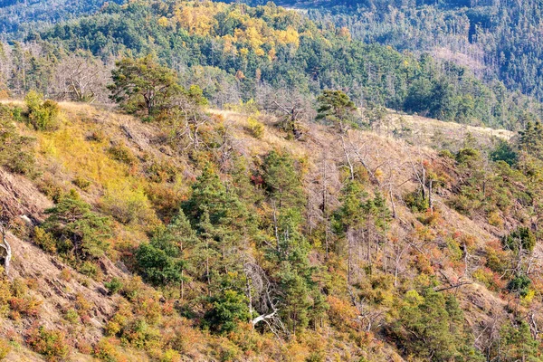 Пейзаж Национального Природного Заповедника Mohelen Snake Steppe Образовательная Тропа Тршебич — стоковое фото