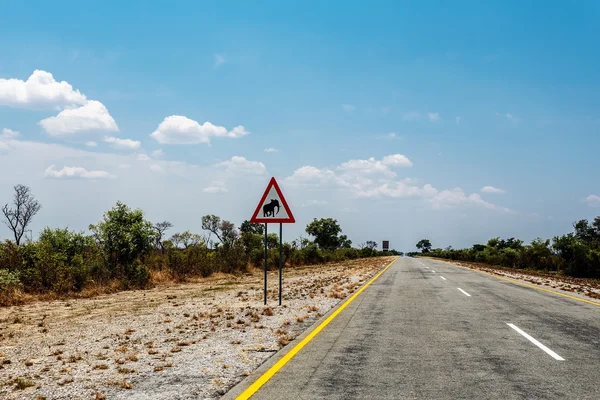 Endless road with blue sky and sign elephants crossing — Stock Photo, Image