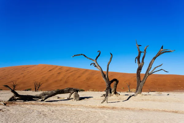 美丽的风景的隐藏湖在纳米布沙漠 — 图库照片