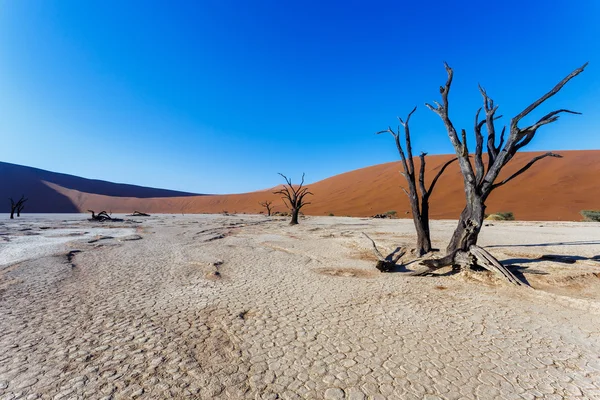 Beautiful landscape of Hidden Vlei in Namib desert — Stock Photo, Image