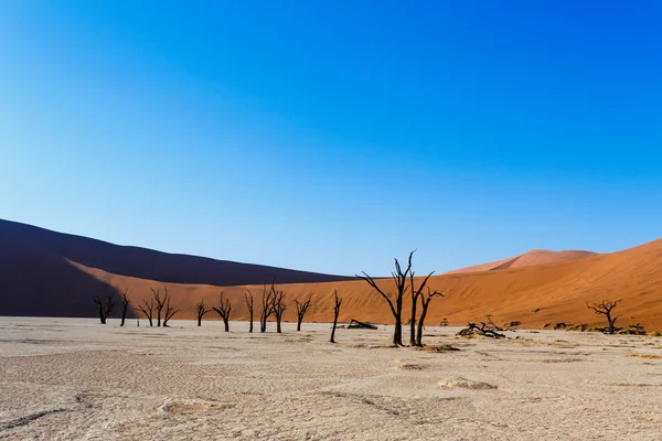 Bela paisagem de Hidden Vlei no deserto do Namib — Fotografia de Stock