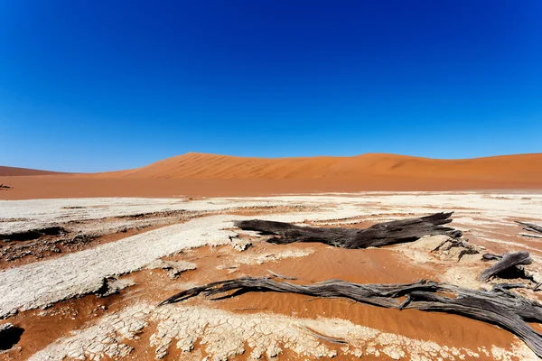 Vackra landskapet i dolda Vlei i Namiböknen — Stockfoto