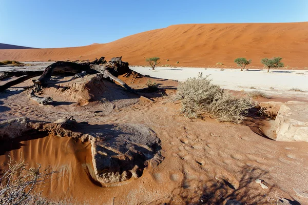 Hermoso paisaje de Hidden Vlei en el desierto de Namib — Foto de Stock