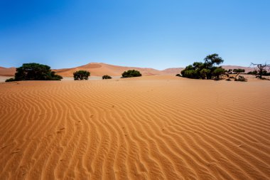Namib Çölü'nde gizli Vlei güzel manzara 