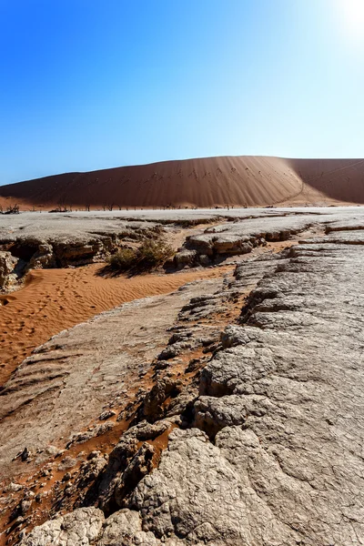 Beautiful landscape of Hidden Vlei in Namib desert — Stock Photo, Image