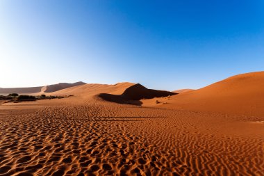 Namib Çölü'nde gizli Vlei güzel manzara 