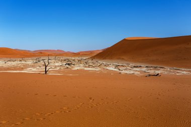 Ölüm Vadisi Sossusvlei güzel manzara