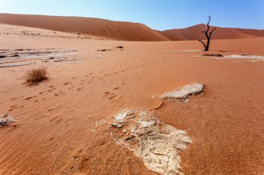 Ölüm Vadisi Sossusvlei güzel manzara