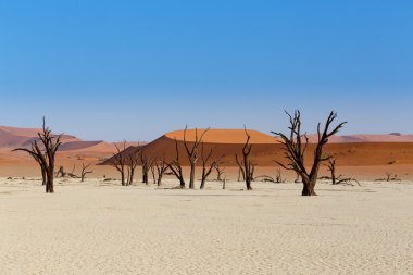 Ölüm Vadisi Sossusvlei güzel manzara