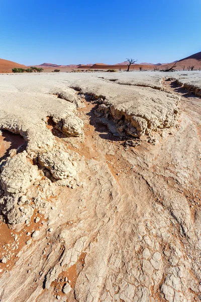 Sossusvlei beautiful landscape of death valley — Stock Photo, Image