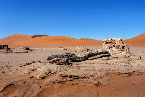 Sossusvlei hermoso paisaje del valle de la muerte —  Fotos de Stock