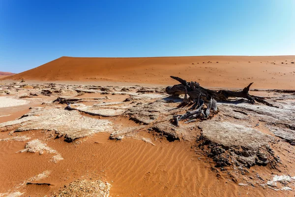 Sossusvlei bela paisagem do vale da morte — Fotografia de Stock