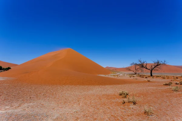 Düne 45 in sossusvlei namibiadune 45 in sossusvlei namibia, ansehen — Stockfoto