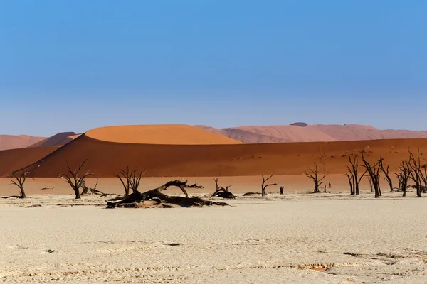 Sossusvlei vackra landskapet i dödens dal — Stockfoto